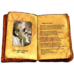 Ece Ayhan ÇAĞLAR - Mübeccel