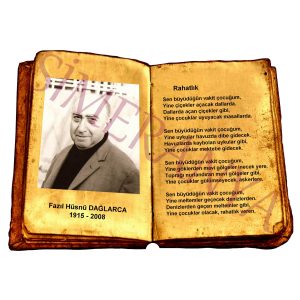Fazıl Hüsnü DAĞLARCA - Rahatlık