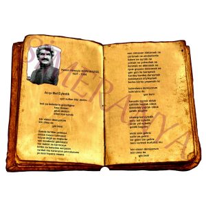 Hasan Hüseyin KORKMAZGİL - Acıyı Bal Eyledik