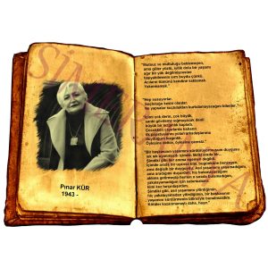 Pınar KÜR -  Alıntıları