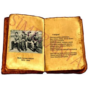 Melih Cevdet ANDAY - Fotoğraf
