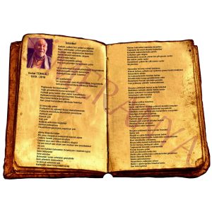 Vedat TÜRKALİ - İstanbul (Bekle Bizi İstanbul)