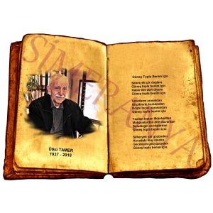 Ülkü TAMER - Güneş Topla Benim İçin